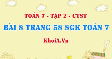 Bài 8 trang 58 SGK Toán 7 tập 2 Chân trời sáng tạo